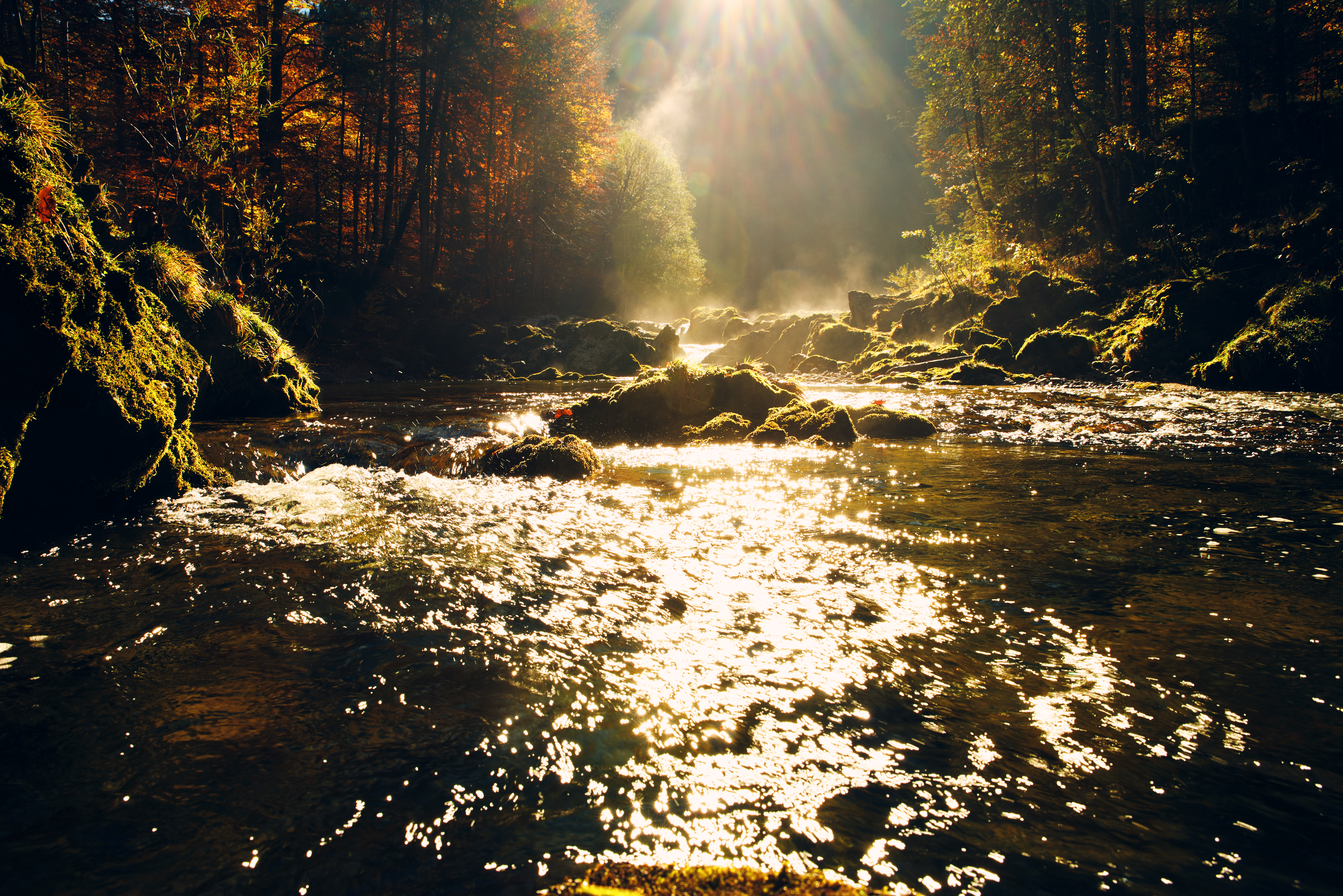 Mid-Range Landscape Views