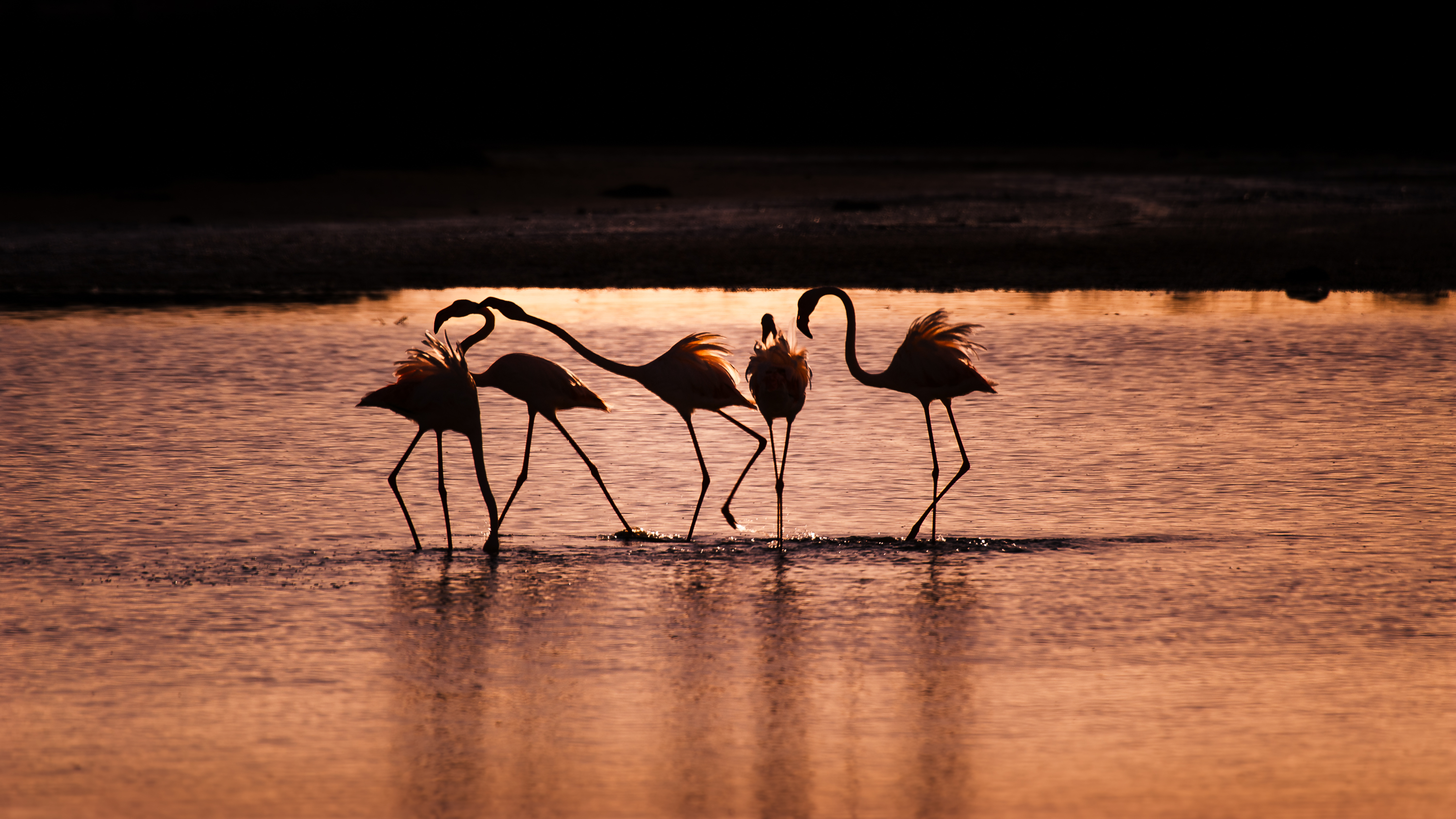 Sardinien Highlighttours 6977