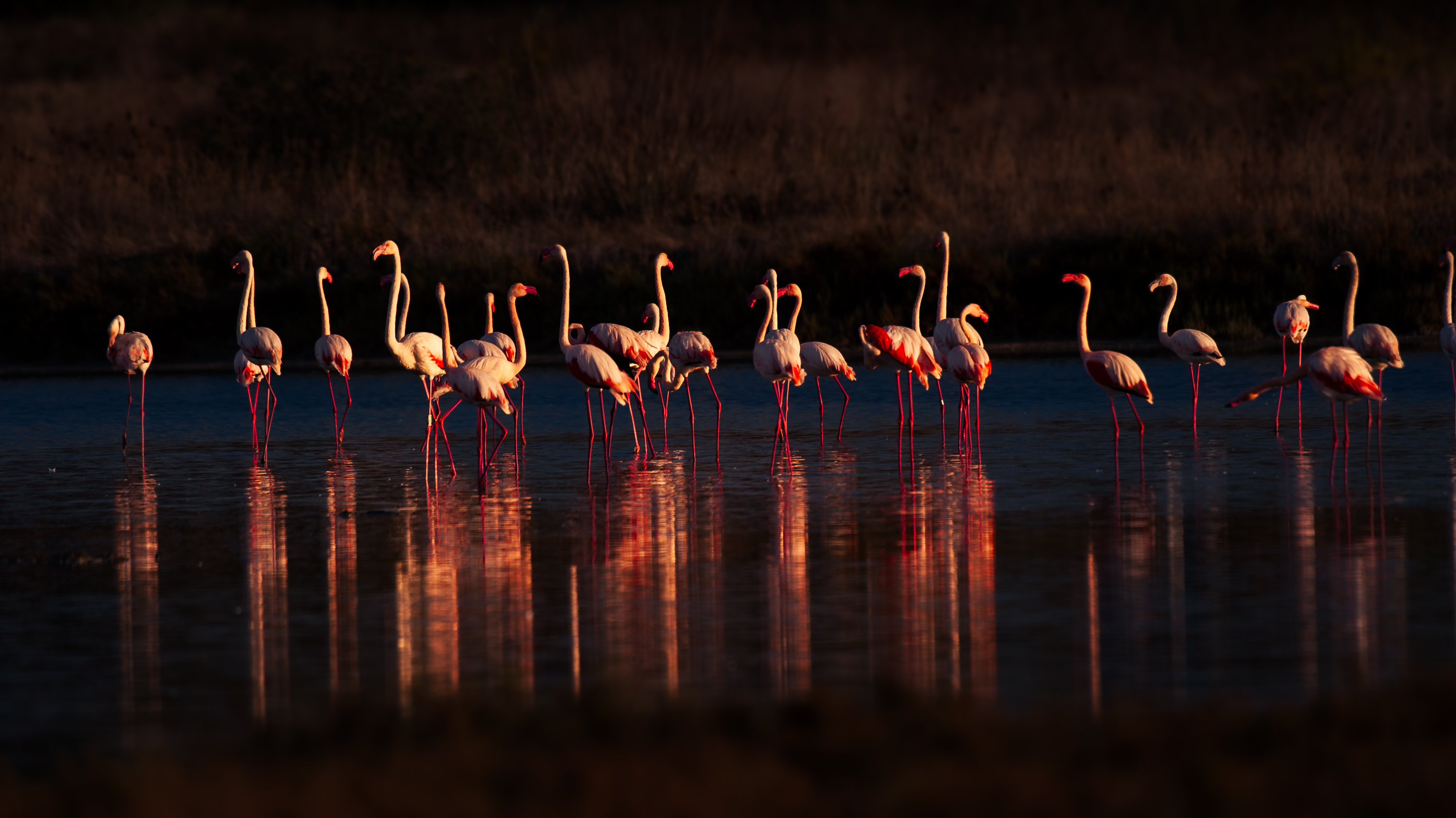 Sardinien Highlighttours 7041