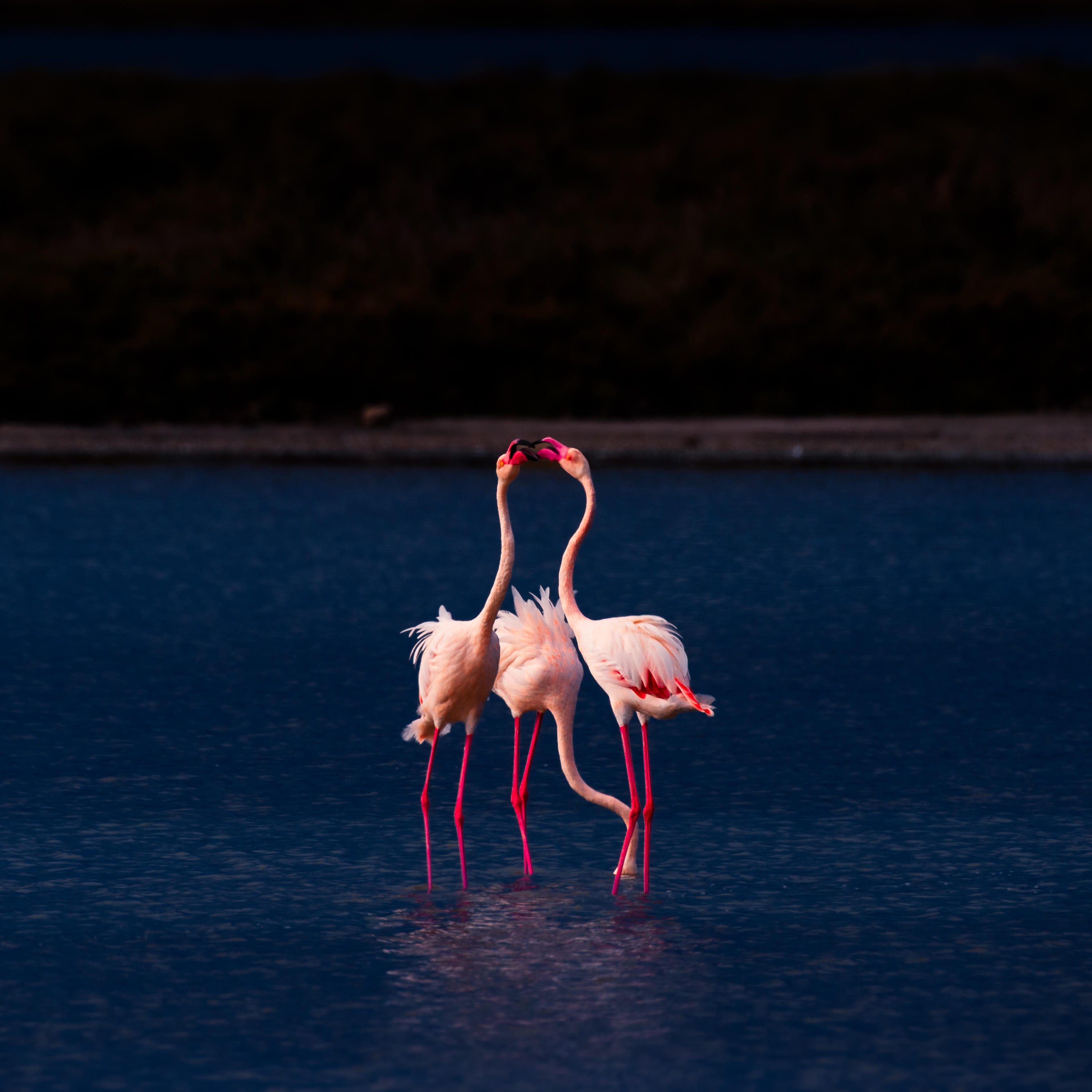 Sardinien Highlighttours 7279